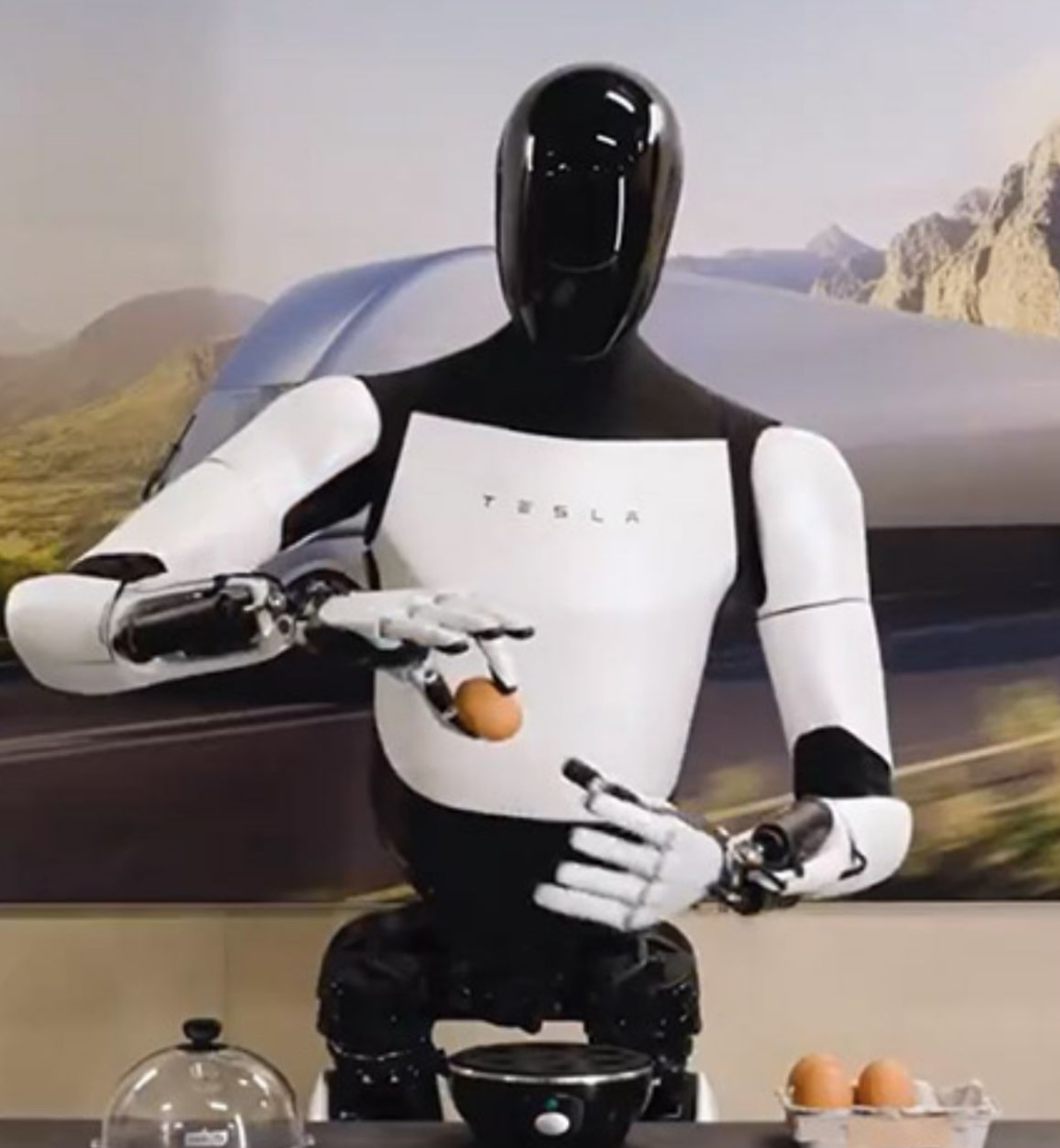 humanoid robot